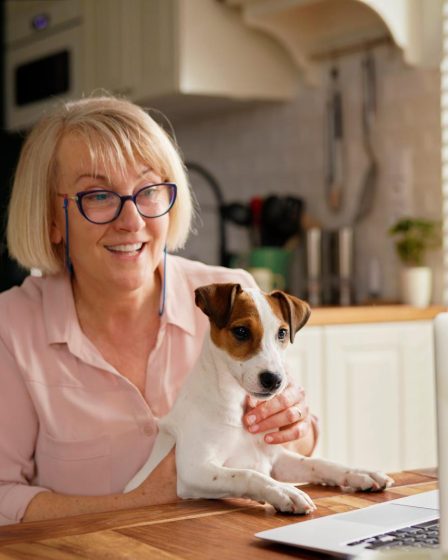 Come cucinare il pesce al cane