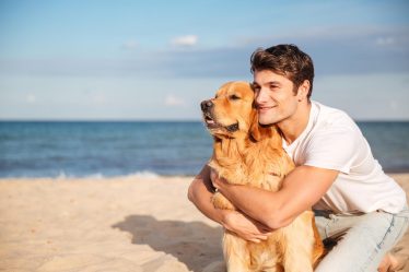 Come spazzolare il cane