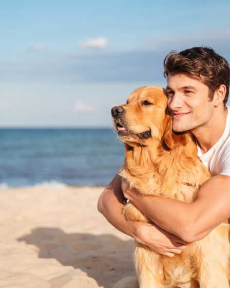 Come spazzolare il cane