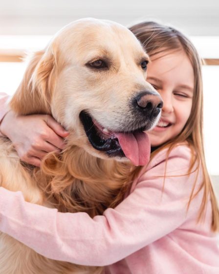 Perché il cane mi mostra il posteriore