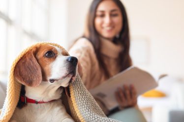 Perché il cane sbadiglia