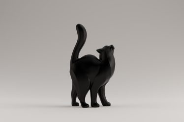 Quando castrare il gatto