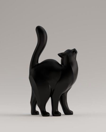 Quando castrare il gatto