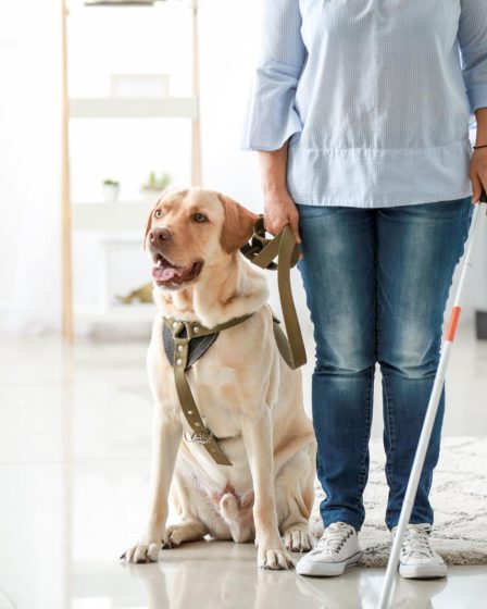 Quanti cani si possono tenere