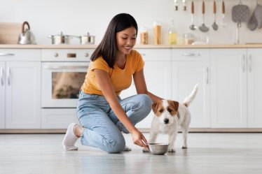 Quanto è un minuto per un cane