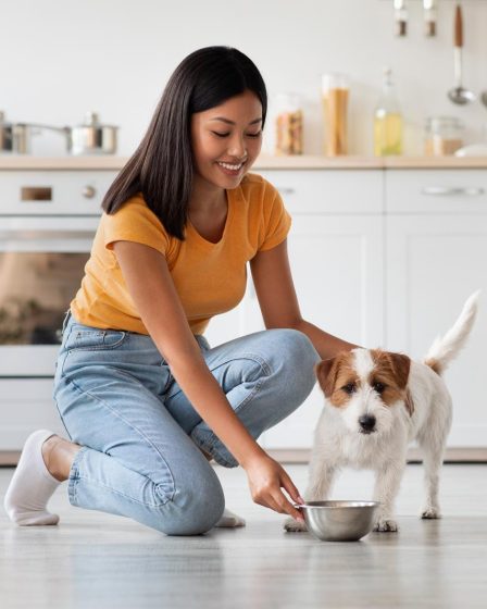 Quanto è un minuto per un cane