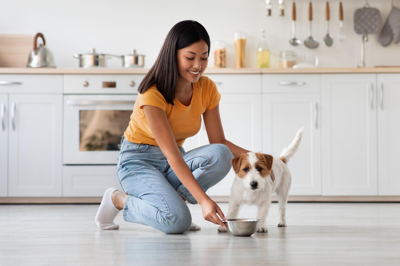 Quanto è un minuto per un cane
